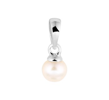 Zilver Collectie