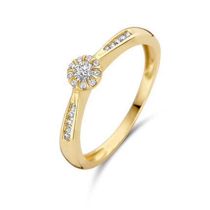 Gouden sieraden Blush