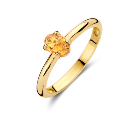 Gouden sieraden Blush