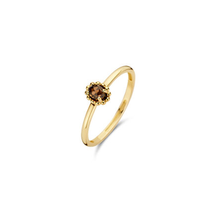 Gouden sieraden Blush