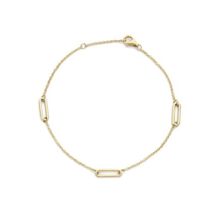 Gouden sieraden Blush