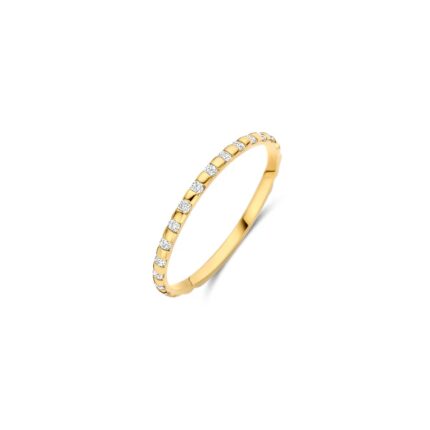 Gouden sieraden Blush