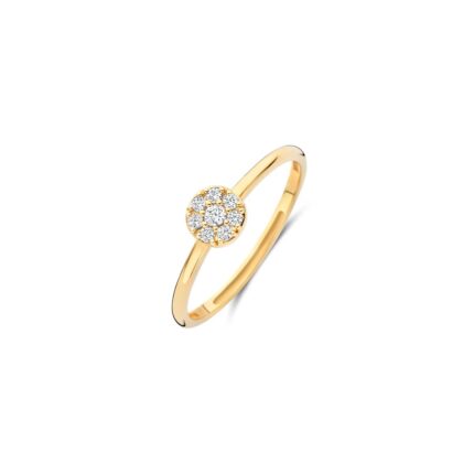 Gouden sieraden Blush