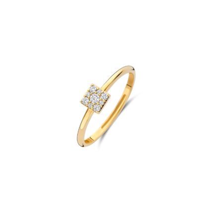 Gouden sieraden Blush