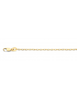Gouden sieraden Fjory